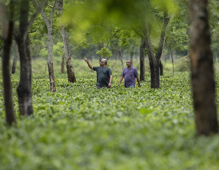 Walking the garden at the Hatipoti estate